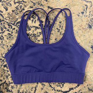 TSL collection purple sports bra